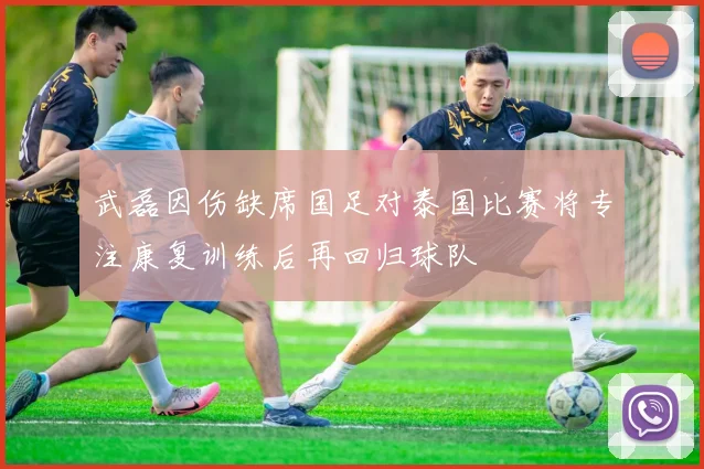 武磊因伤缺席国足对泰国比赛将专注康复训练后再回归球队